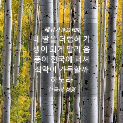 Picture 04 - 레위기 19:29 KOR - 네 딸을 더럽혀 기생이 되게 말라 - Bible Verse Picture