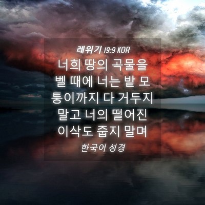 Picture 04 - 레위기 19:9 KOR - 너희 땅의 곡물을 벨 때에 너는 밭 - Bible Verse Picture
