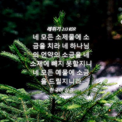 Picture 04 - 레위기 2:13 KOR - 네 모든 소제물에 소금을 치라 네 - Bible Verse Picture