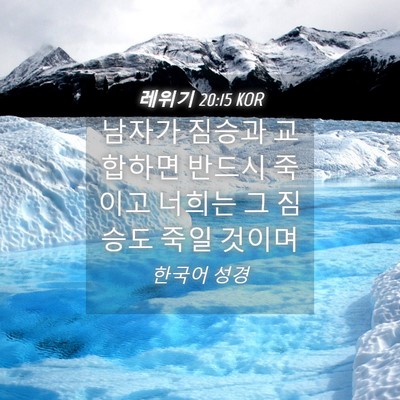 Picture 04 - 레위기 20:15 KOR - 남자가 짐승과 교합하면 반드시 - Bible Verse Picture