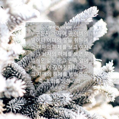 Picture 04 - 레위기 20:17 KOR - 누구든지 그 자매 곧 아비의 딸이나 - Bible Verse Picture