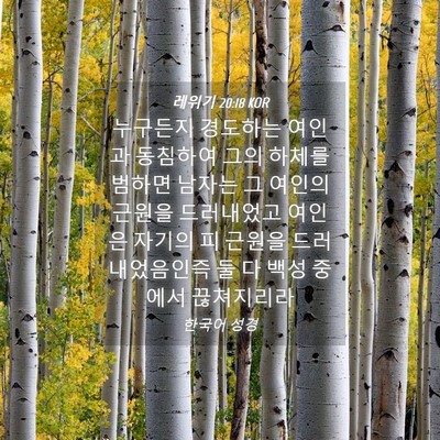 Picture 04 - 레위기 20:18 KOR - 누구든지 경도하는 여인과 동침하여 - Bible Verse Picture