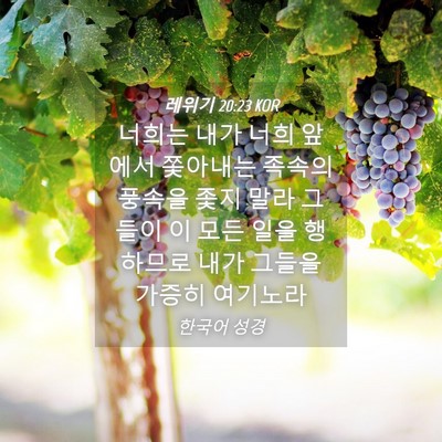 Picture 04 - 레위기 20:23 KOR - 너희는 내가 너희 앞에서 쫓아내는 - Bible Verse Picture