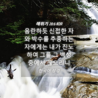 Picture 04 - 레위기 20:6 KOR - 음란하듯 신접한 자와 박수를 - Bible Verse Picture