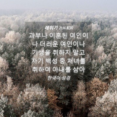 Picture 04 - 레위기 21:14 KOR - 과부나 이혼된 여인이나 더러운 - Bible Verse Picture