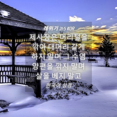 Picture 04 - 레위기 21:5 KOR - 제사장은 머리털을 깎아 대머리 같게 - Bible Verse Picture