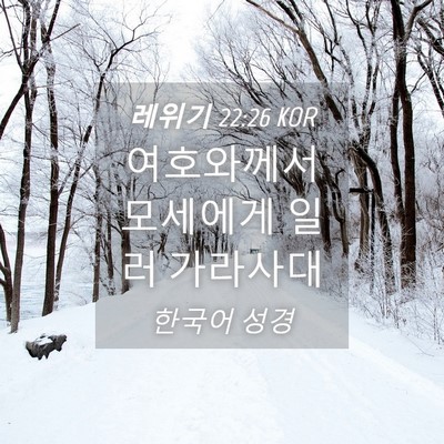 Picture 04 - 레위기 22:26 KOR - 여호와께서 모세에게 일러 - Bible Verse Picture