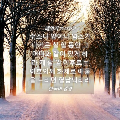 Picture 04 - 레위기 22:27 KOR - 수소나 양이나 염소가 나거든 칠 일 - Bible Verse Picture