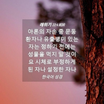 Picture 04 - 레위기 22:4 KOR - 아론의 자손 중 문둥 환자나 - Bible Verse Picture