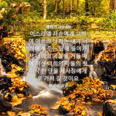 Picture 04 - 레위기 23:10 KOR - 이스라엘 자손에게 고하여 이르라 - Bible Verse Picture