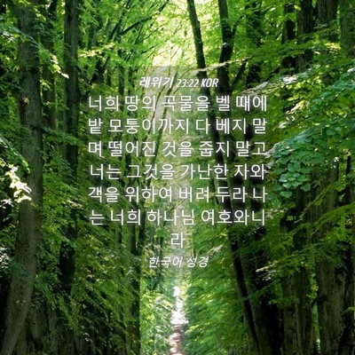 Picture 04 - 레위기 23:22 KOR - 너희 땅의 곡물을 벨 때에 밭 - Bible Verse Picture