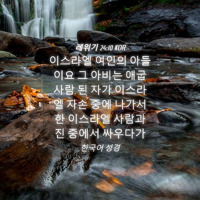 Picture 04 - 레위기 24:10 KOR - 이스라엘 여인의 아들이요 그 아비는 - Bible Verse Picture