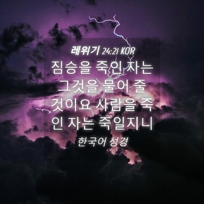 Picture 04 - 레위기 24:21 KOR - 짐승을 죽인 자는 그것을 물어 줄 - Bible Verse Picture
