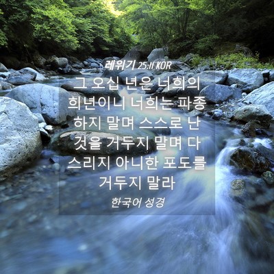 Picture 04 - 레위기 25:11 KOR - 그 오십 년은 너희의 희년이니 - Bible Verse Picture