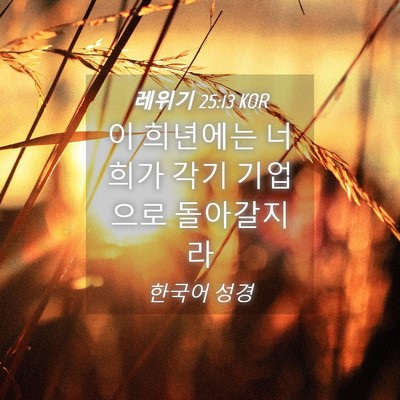 Picture 04 - 레위기 25:13 KOR - 이 희년에는 너희가 각기 기업으로 - Bible Verse Picture