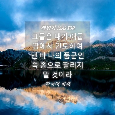 Picture 04 - 레위기 25:42 KOR - 그들은 내가 애굽 땅에서 인도하여 - Bible Verse Picture
