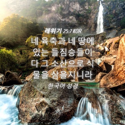 Picture 04 - 레위기 25:7 KOR - 네 육축과 네 땅에 있는 들짐승들이 - Bible Verse Picture