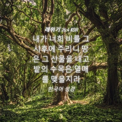 Picture 04 - 레위기 26:4 KOR - 내가 너희 비를 그 시후에 주리니 - Bible Verse Picture