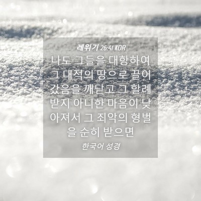 Picture 04 - 레위기 26:41 KOR - 나도 그들을 대항하여 그 대적의 - Bible Verse Picture