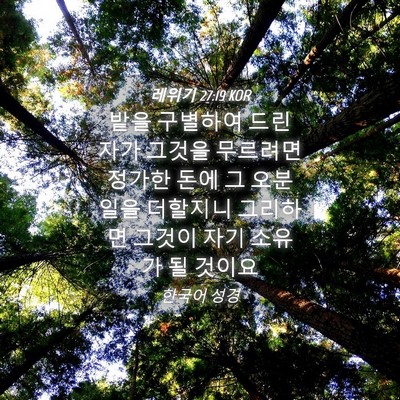 Picture 04 - 레위기 27:19 KOR - 밭을 구별하여 드린 자가 그것을 - Bible Verse Picture