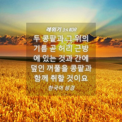Picture 04 - 레위기 3:4 KOR - 두 콩팥과 그 위의 기름 곧 허리 - Bible Verse Picture