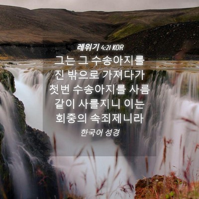 Picture 04 - 레위기 4:21 KOR - 그는 그 수송아지를 진 밖으로 - Bible Verse Picture