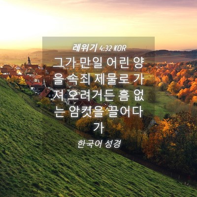 Picture 04 - 레위기 4:32 KOR - 그가 만일 어린 양을 속죄 제물로 - Bible Verse Picture