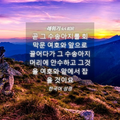 Picture 04 - 레위기 4:4 KOR - 곧 그 수송아지를 회막문 여호와 - Bible Verse Picture