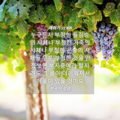 Picture 04 - 레위기 5:2 KOR - 누구든지 부정한 들짐승의 사체나 - Bible Verse Picture