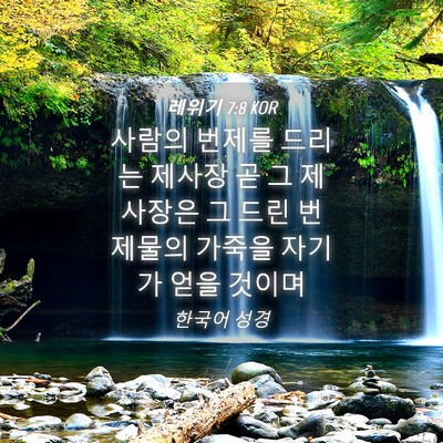 Picture 04 - 레위기 7:8 KOR - 사람의 번제를 드리는 제사장 곧 그 - Bible Verse Picture