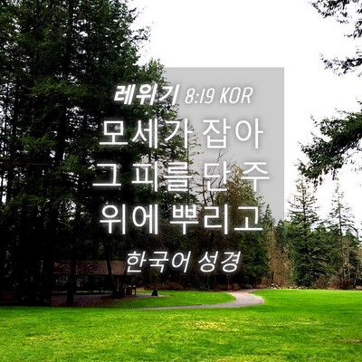 Picture 04 - 레위기 8:19 KOR - 모세가 잡아 그 피를 단 주위에 - Bible Verse Picture