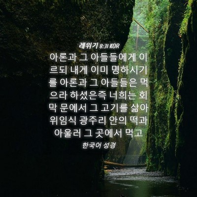Picture 04 - 레위기 8:31 KOR - 아론과 그 아들들에게 이르되 내게 - Bible Verse Picture