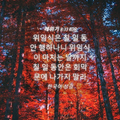 Picture 04 - 레위기 8:33 KOR - 위임식은 칠 일 동안 행하나니 - Bible Verse Picture