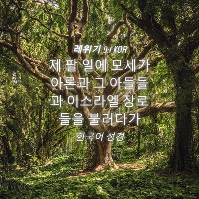 Picture 04 - 레위기 9:1 KOR - 제 팔 일에 모세가 아론과 그 - Bible Verse Picture