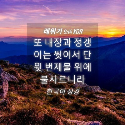 Picture 04 - 레위기 9:14 KOR - 또 내장과 정갱이는 씻어서 단 윗 - Bible Verse Picture