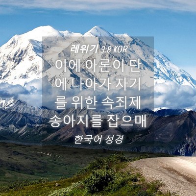 Picture 04 - 레위기 9:8 KOR - 이에 아론이 단에 나아가 자기를 - Bible Verse Picture