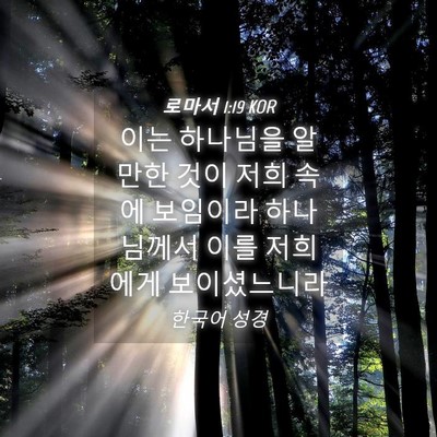 Picture 04 - 로마서 1:19 KOR - 이는 하나님을 알만한 것이 저희 - Bible Verse Picture