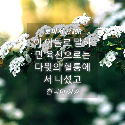 Picture 04 - 로마서 1:3 KOR - 이 아들로 말하면 육신으로는 다윗의 - Bible Verse Picture