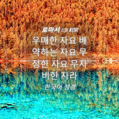 Picture 04 - 로마서 1:31 KOR - 우매한 자요 배약하는 자요 무정한 - Bible Verse Picture