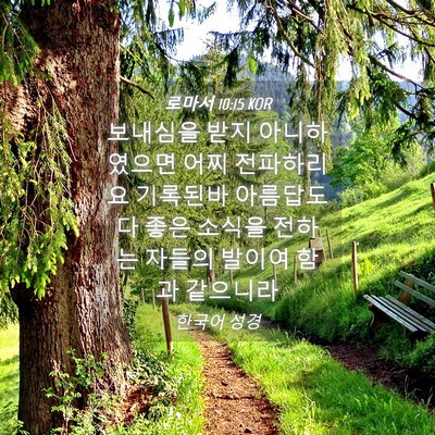 Picture 04 - 로마서 10:15 KOR - 보내심을 받지 아니하였으면 어찌 - Bible Verse Picture