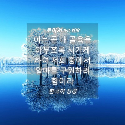 Picture 04 - 로마서 11:14 KOR - 이는 곧 내 골육을 아무쪼록 시기케 - Bible Verse Picture