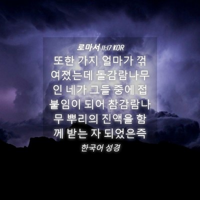 Picture 04 - 로마서 11:17 KOR - 또한 가지 얼마가 꺾여졌는데 - Bible Verse Picture
