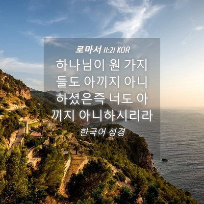 Picture 04 - 로마서 11:21 KOR - 하나님이 원 가지들도 아끼지 - Bible Verse Picture