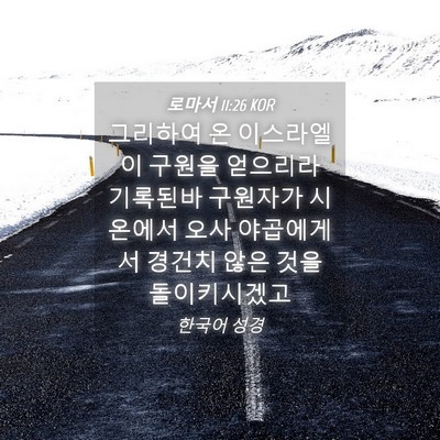Picture 04 - 로마서 11:26 KOR - 그리하여 온 이스라엘이 구원을 - Bible Verse Picture
