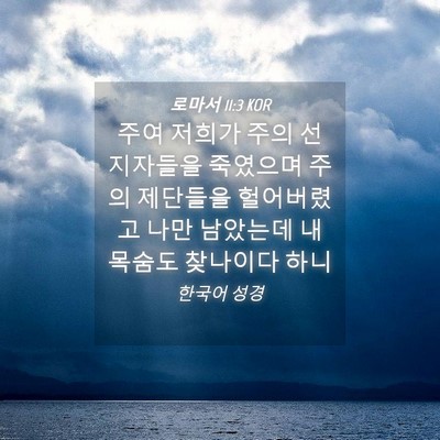 Picture 04 - 로마서 11:3 KOR - 주여 저희가 주의 선지자들을 - Bible Verse Picture