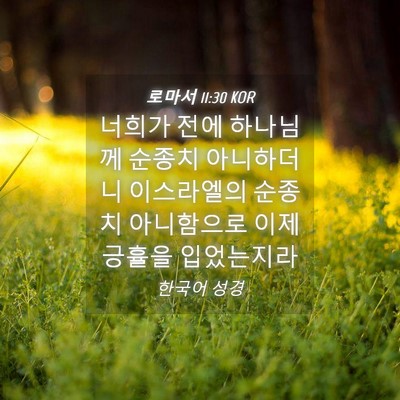 Picture 04 - 로마서 11:30 KOR - 너희가 전에 하나님께 순종치 - Bible Verse Picture
