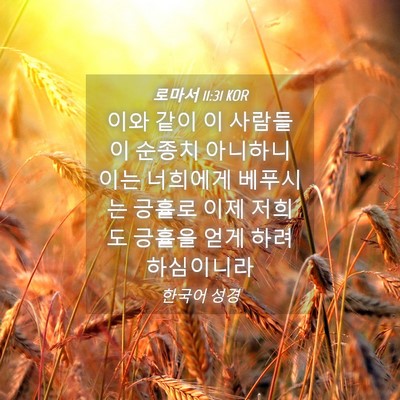 Picture 04 - 로마서 11:31 KOR - 이와 같이 이 사람들이 순종치 - Bible Verse Picture