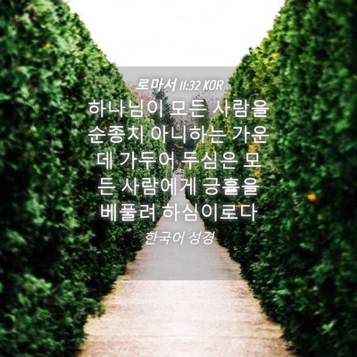 Picture 04 - 로마서 11:32 KOR - 하나님이 모든 사람을 순종치 - Bible Verse Picture