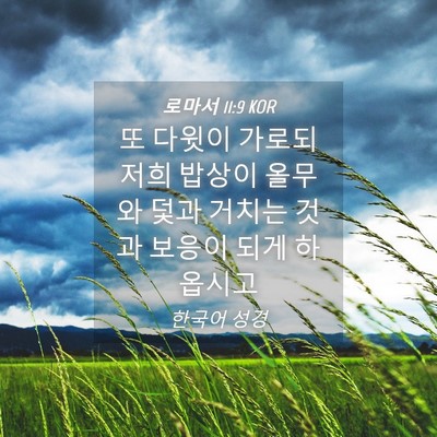 Picture 04 - 로마서 11:9 KOR - 또 다윗이 가로되 저희 밥상이 - Bible Verse Picture