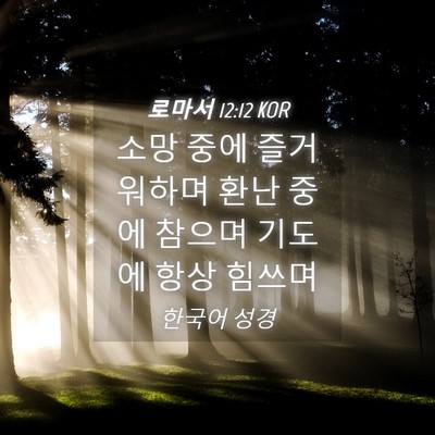 Picture 04 - 로마서 12:12 KOR - 소망 중에 즐거워하며 환난 중에 - Bible Verse Picture